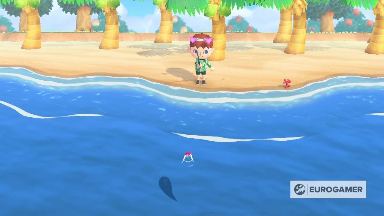 Animal Crossing Ocean Sunfish How to catch the Ocean Sunfish in New